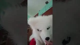 видно не конфетка