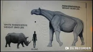 Extinct vs Living Size Comparison Read