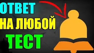 Как найти ответы на тесты 