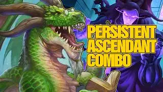 Our Persistent Ascendant Combo Outscaled Everyone | Dogdog Hearthstone Battlegrounds