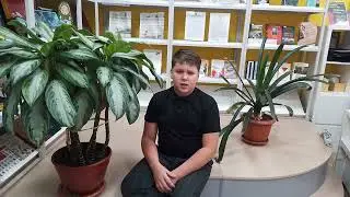 Афанасий Фет "Учись у них - у дуба, у берёзы..." Читает Краснов Денис.