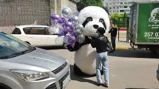 Шарики улетели!!!