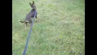 Benita