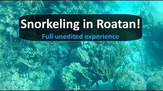 Snorkeling in Roatan - Long unedited video