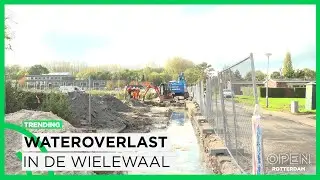 Wielewaals waterballet door geraakte leiding frustreert omwonende Rotterdammers | TRENDING
