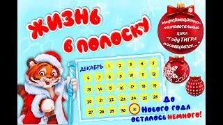 Жизнь в полоску