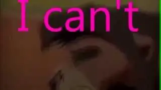 Animash What about love