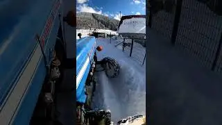 Atom Karınca Doğaya Karşı 😅