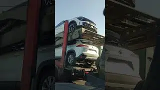 Вот такую машину везут