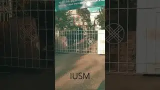 IUSM Bishkek #IUSM #bishkek