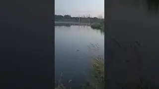 Сново на режиме "Ждун" #Карпфишинг