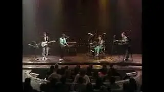 Aparato Raro - Calibraciones