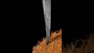 kiwi and hot knife ASMR Macro Video