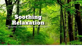 Nature Sounds for Relax