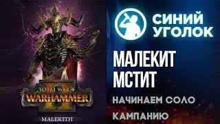 Total War: Warhammer 2 - Малекит рвётся к власти! Соло за тёмных эльфов. Стрим.