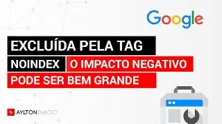Página excluída pela tag noindex nas buscas (Google Search Console)
