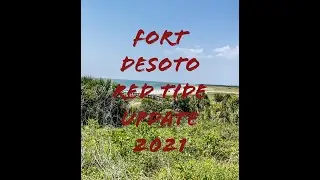 FORT DESOTO RED TIDE UPDATE