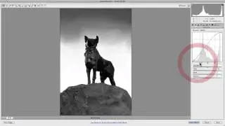 Camera Raw: How To Use The Parametric & Point Curves