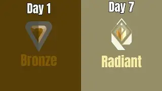 I Trained Like SEN Curry For 7 Days But On High Sens