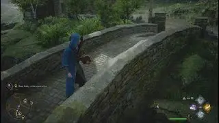 Lets play Hogwarts legacy Part 2: A bit of catch-up