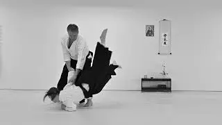 Discovering the Elegance of Aikido: A Mesmerizing Martial Art.