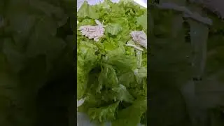 Простой салат Цезарь с курицей