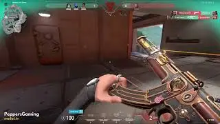 Insert aim here