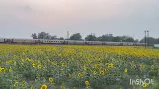 ఈ పువ్వు ని తెలుగులో ఏమంటారో నాకు కామెంట్ చేయండి