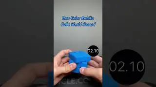 One Color Rubiks Cube World Record