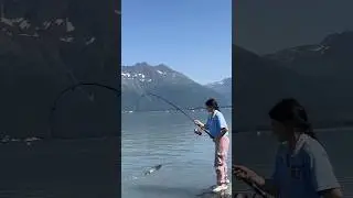 There is nothing like Alaska