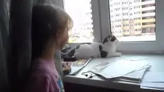 зигзага танцует на канале котёнок 3