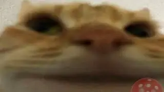 хз