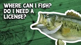 Where Can I Fish at Papoose Pond and Do I Need a License?