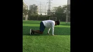 How to do Bear Crawl | Core Workout for Beginners