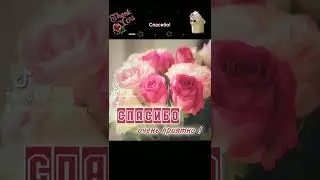 Спасибо! 