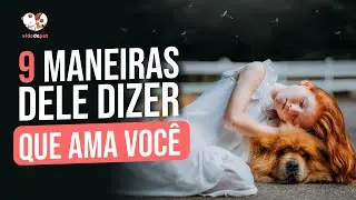 9 MANEIRAS DO SEU CACHORRO DIZER QUE AMA VOCÊ