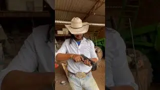 Pistola