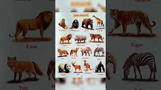Wild Animal Name In English || 10 Wild Animal || 5 Wild Animal Name In Englsih #shorts #short #viral