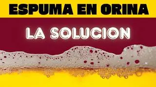 Eliminate foam in urine in 1 day (explained from start to finish)