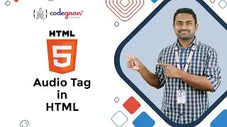 Understanding Audio Tag in HTML | Audio Tag | HTML | Frontend Playlist