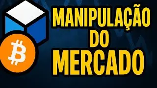 Por Que a Maioria Perde Dinheiro: A Psicologia da Manada no Mercado