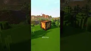 Minecraft Dream's vs Reality 