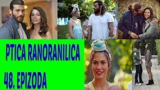 - DZANOVA NESRECA