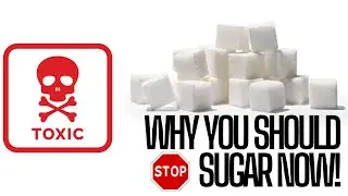 Why You Should Quit Sugar Now!