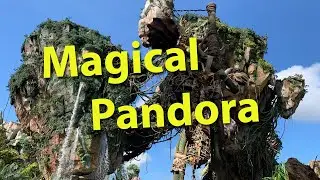 Pandora in Animal Kingdom Disney world
