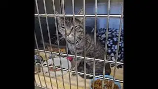 Eleanor Checking In! (Ramapo-Bergen Animal Refuge)