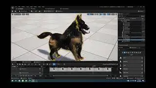 Real Animal Groom Simulation in UE 5.4