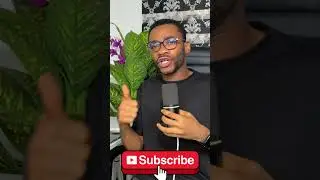 Wash Trading EXPOSED - PART 1👀