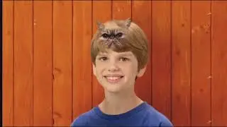 Nickelodeon Bumpers Collection (2017-2023)
