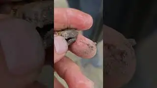 Невероятная , редкая и ценная находка с Алиэкспрес 